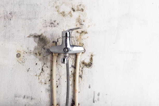 Best Mold Testing  in Roxborough Park, CO