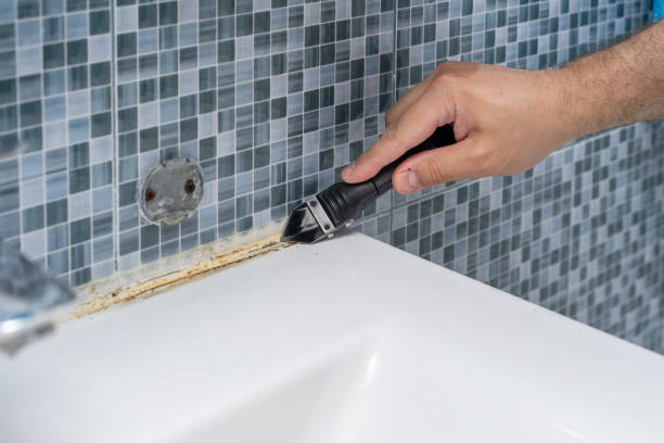 Best Mold Removal Specialists  in Roxborough Park, CO