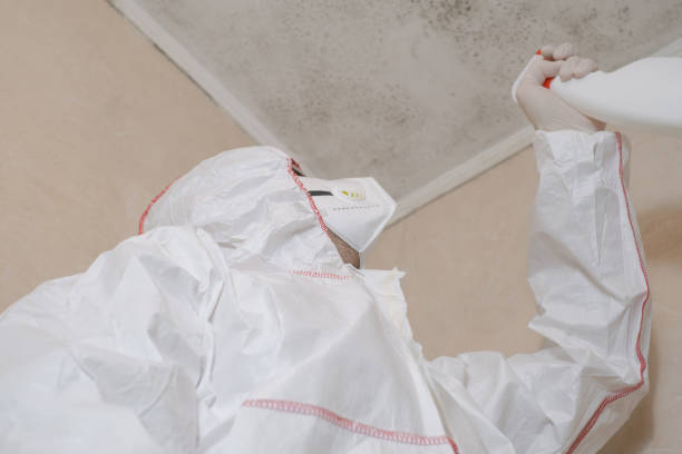 Best Local Mold Removal Service  in Roxborough Park, CO